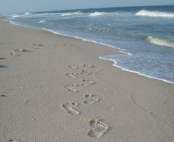 barefootonsand
