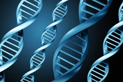 dna testing lg