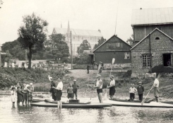 dzukija1
