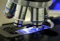 laboratory
