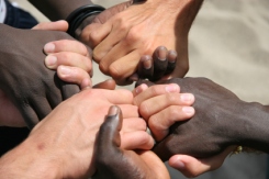 tolerance 1